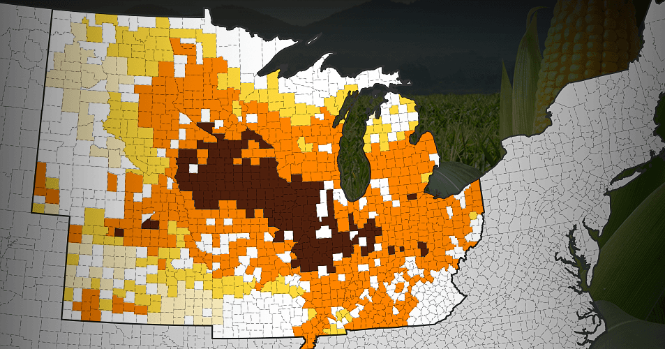 A Corn Yield Prediction Model With a Faster Speed Than That of the Usda