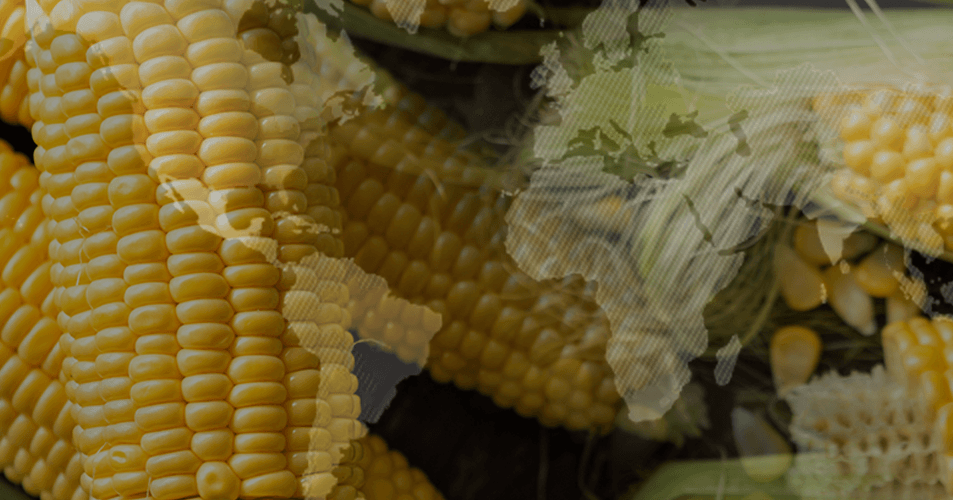 How Reliable Is Nara Space’s Crop Yield Prediction Report?