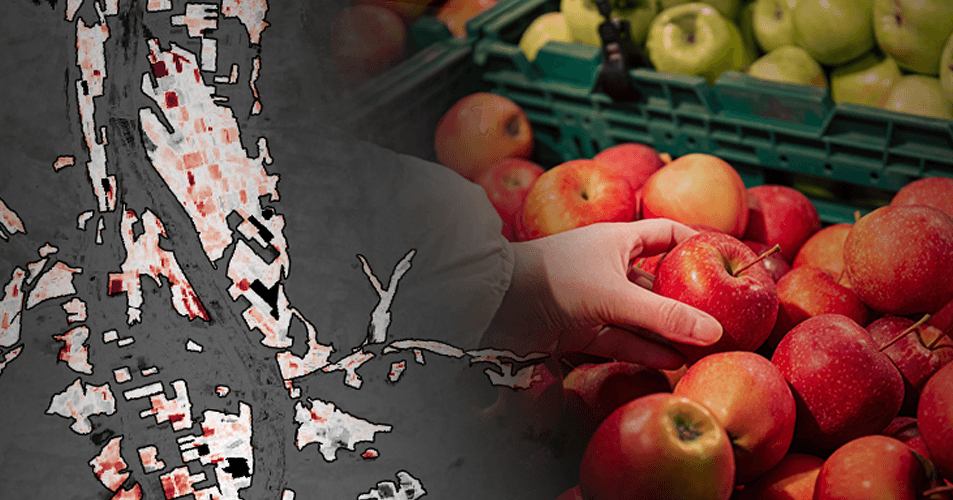 Why Have the Wholesale Price for 10kg of Apples and Pears Skyrocketed to About KRW 90,000 In South Korea?