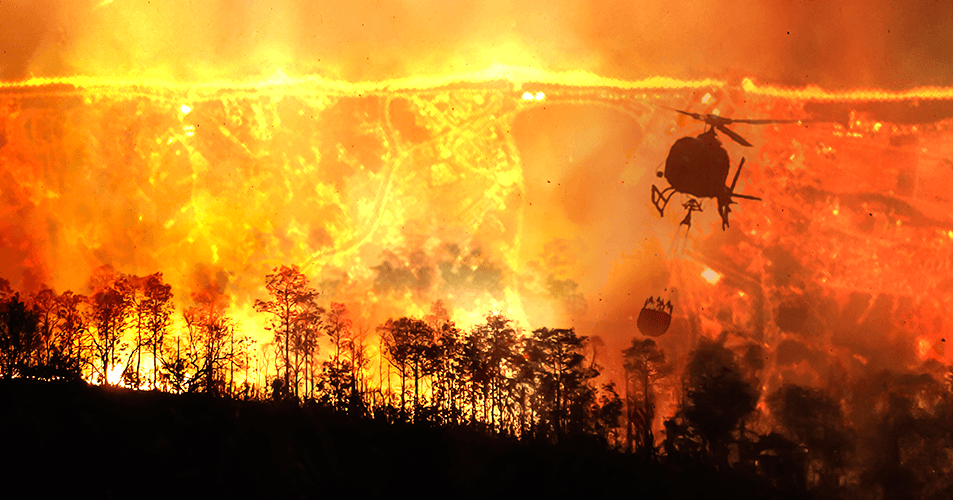 2023 Gangneung Wildfire Damage Through Satellite Analysis